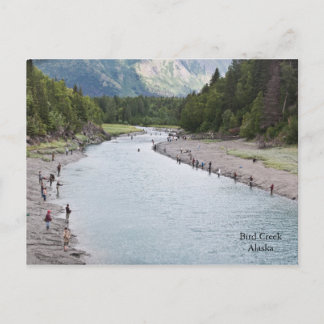 Cartão Postal Peixe Alaska!