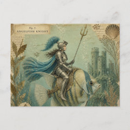 Cartão Postal Peixe-Anjo Cavaleiro