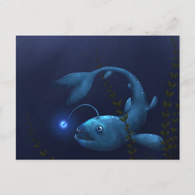 Cartão Postal Peixe-Anjo no Subsolo (Frente)