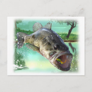 Cartão Postal peixe-base verde
