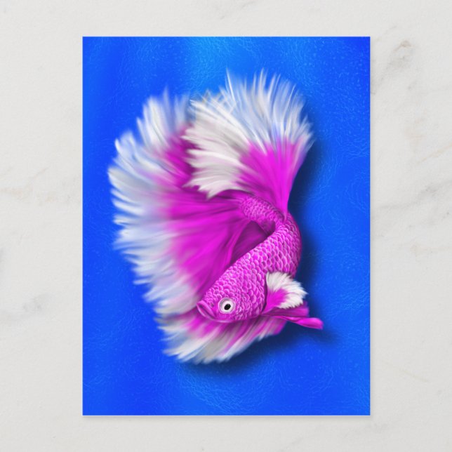 Cartão Postal Peixe-Betta Rosa Branco e Quente (Frente)