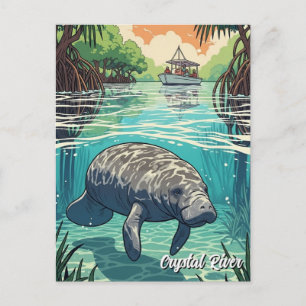 Cartão Postal Peixe-boi no Crystal River Flórida