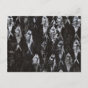 Cartão Postal Peixe Branco Fóssil em Fundo Preto