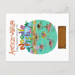 Cartão Postal Peixe de Noodle Americano