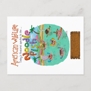 Cartão Postal Peixe de Noodle Americano