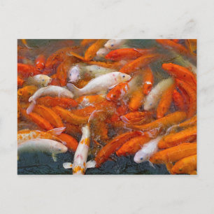 Cartão Postal Peixe Dourado