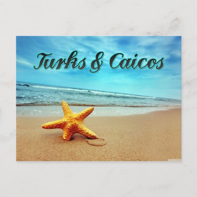 Cartão Postal Peixe-estrela Turcas e Caicos (Frente)