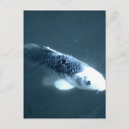 Cartão Postal Peixe "Fantasma"