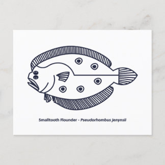 Cartão Postal Peixe-Flounder Divertido em Azul Profundo e Branco