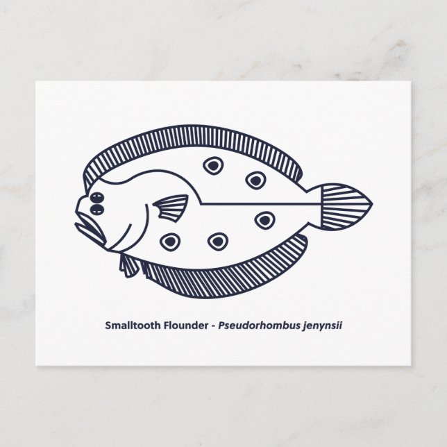 Cartão Postal Peixe-Flounder Divertido em Azul Profundo e Branco (Frente)