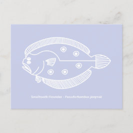 Cartão Postal Peixe-Flounder Divertido em Branco sobre Púrpura L