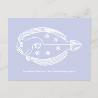 Cartão Postal Peixe-Flounder Divertido em Branco sobre Púrpura L