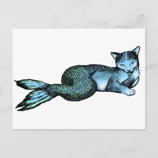 Cartão Postal Peixe-gato