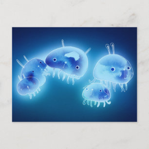 Cartão Postal Peixe-geleia 2013