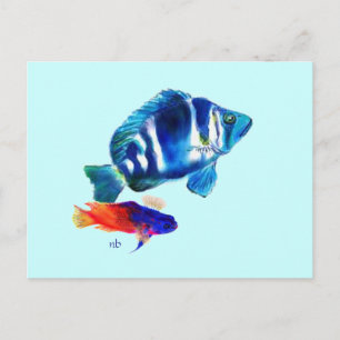 Cartão Postal Peixe-Índio, Folha de Leite