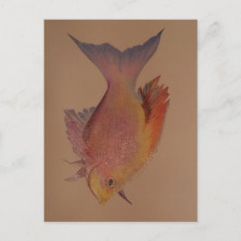 Cartão Postal Peixe Iridescente