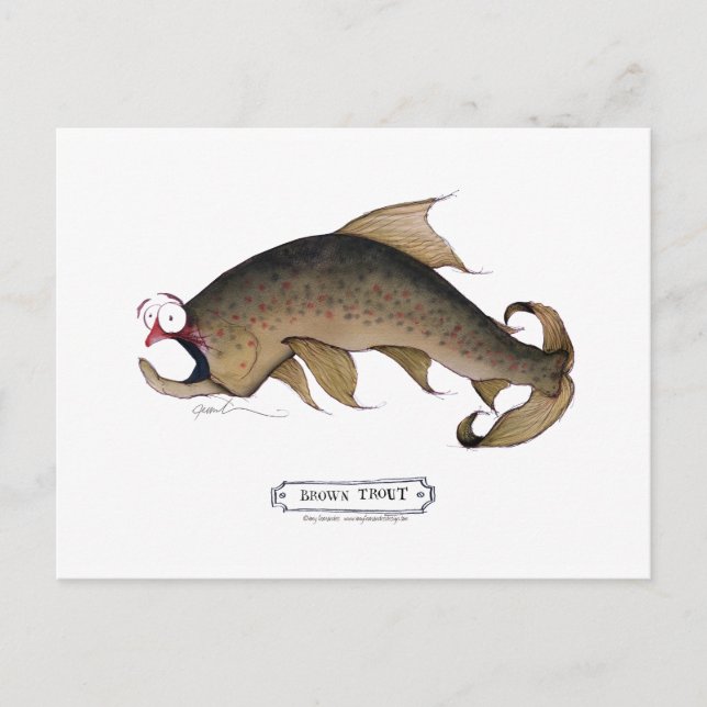 Cartão Postal Peixe-malta castanho, tony fernandes (Frente)