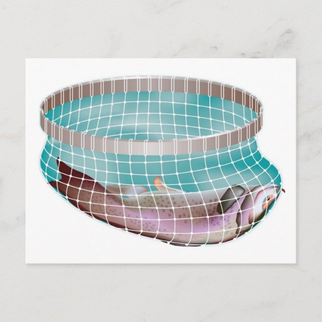 Cartão Postal Peixe na Rede (Frente)