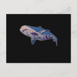 Cartão Postal Peixe Oceano Design Baleia Natação Foca Diversão P