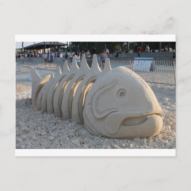 Cartão Postal Peixe Osso (Frente)