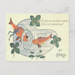 Cartão Postal Peixe Palhaço Nenúfar