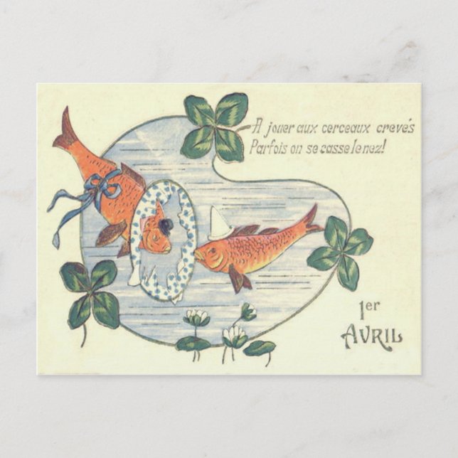 Cartão Postal Peixe Palhaço Nenúfar (Frente)