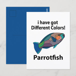 Cartão Postal Peixe Papagaio Engraçado