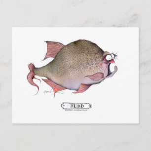 Cartão Postal Peixe-rudd, tony fernandes
