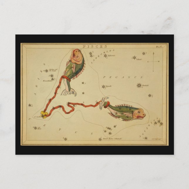 Cartão Postal Peixes (Frente)