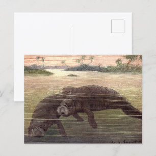 Cartão Postal Peixes-Boi Antigos ou Vacas Marinhas, Mamíferos Ma