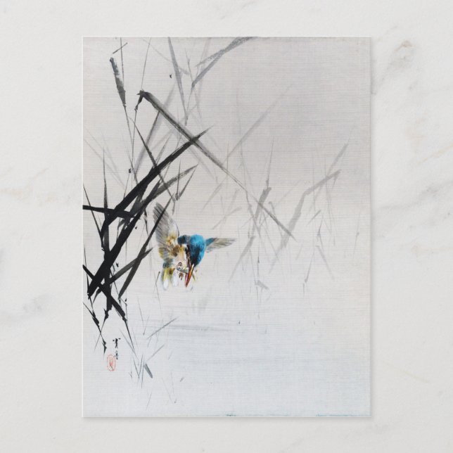 Cartão Postal Peixes De Pesca Do Reino Entre As Sementes, Seitei (Frente)