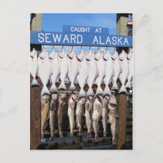 Cartão Postal Peixes em Seward, Alasca