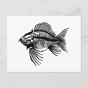 Cartão Postal Peixes Fósseis
