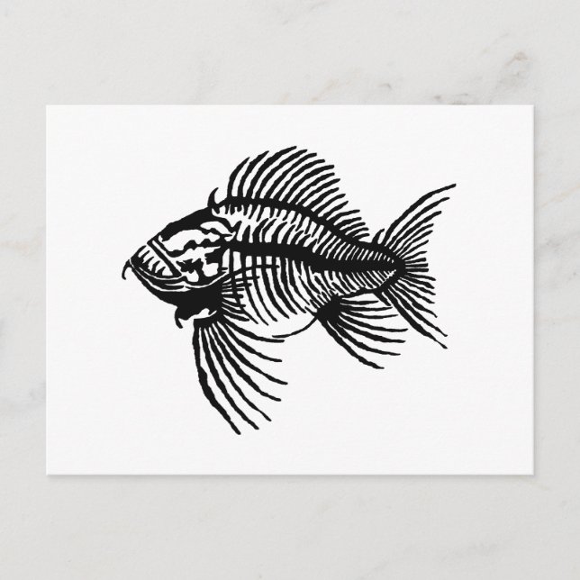 Cartão Postal Peixes Fósseis (Frente)
