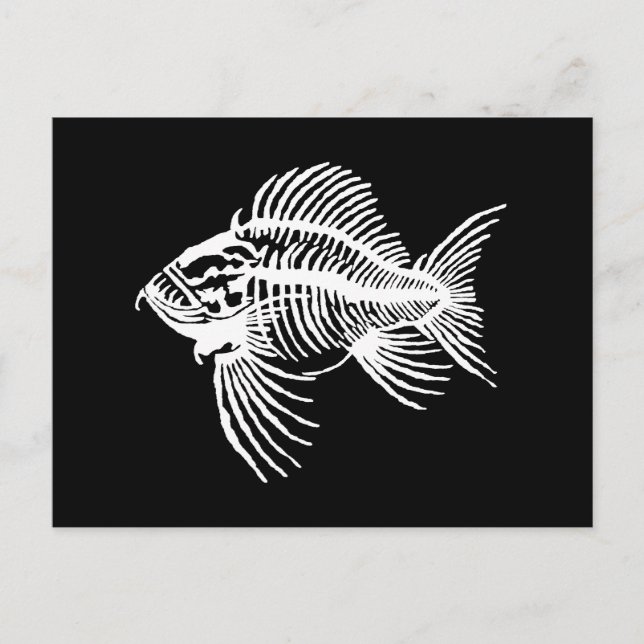Cartão Postal Peixes Fósseis (Frente)