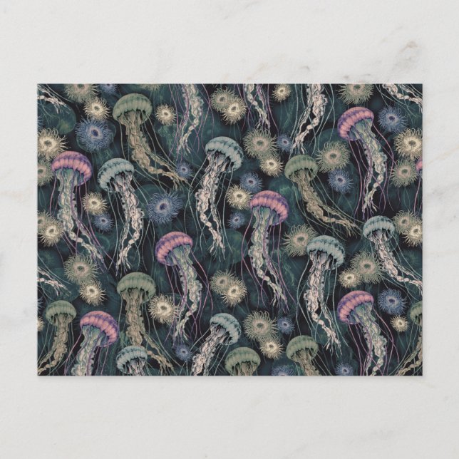 Cartão Postal Peixes-judeus etéreos e anêmonas em Teal e Rosa (Frente)