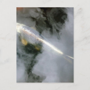 Cartão Postal Peixes Prateados em Água e Nuvens