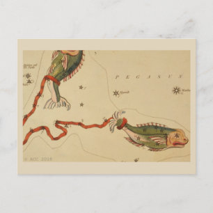 Cartão Postal Peixes - Sinal Zodiac