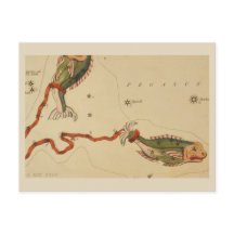 Peixes - Sinal Zodiac