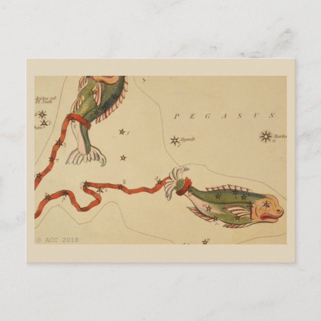 Cartão Postal Peixes - Sinal Zodiac (Frente)