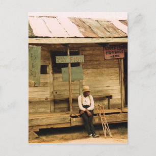 Cartão Postal Peixes Vivos Para Venda