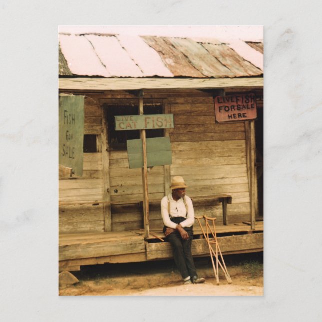 Cartão Postal Peixes Vivos Para Venda (Frente)