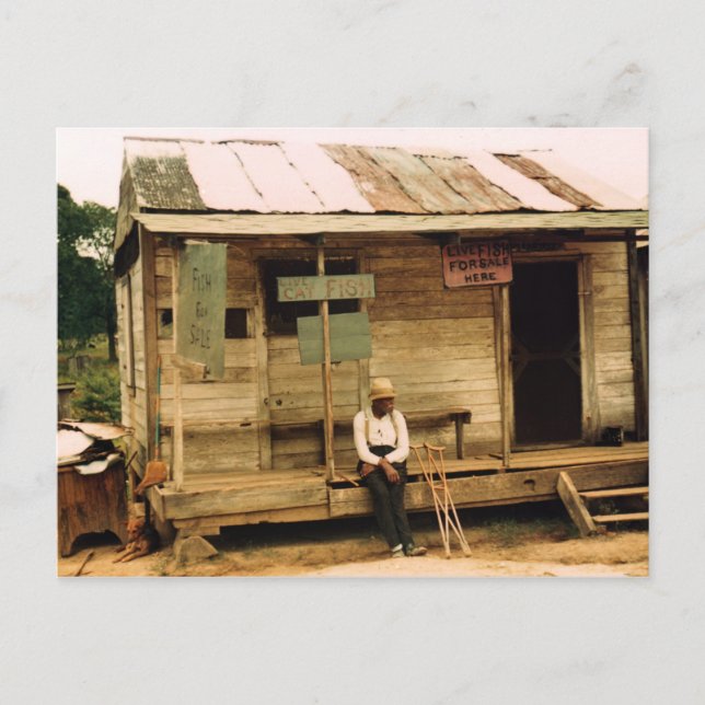 Cartão Postal Peixes Vivos Para Venda (Frente)