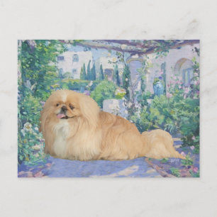 Cartão Postal Pekingese em Lavanda