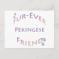 Pekingese Fuore