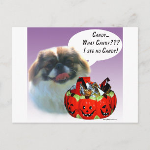 Cartão Postal Pekingese Halloween Candy