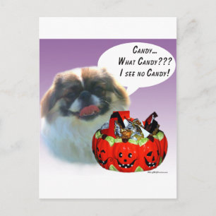 Cartão Postal Pekingese Halloween Candy