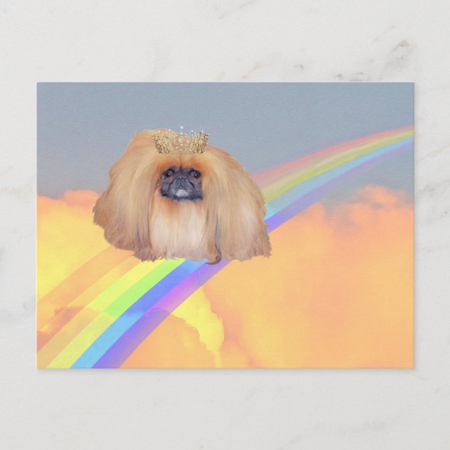 Cartão Postal Pekingese Rainbow (Frente)