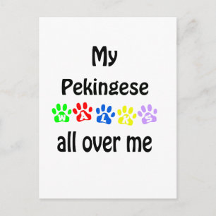 Cartão Postal Pekingese Walks Design