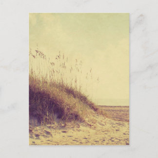 Cartão Postal Pelas Dunas
